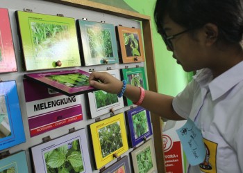 68754978_678604845947955_1217754302227939328_n